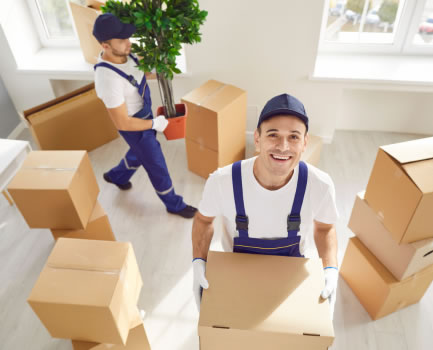 Orçamento para Mudança residencial Personalizada